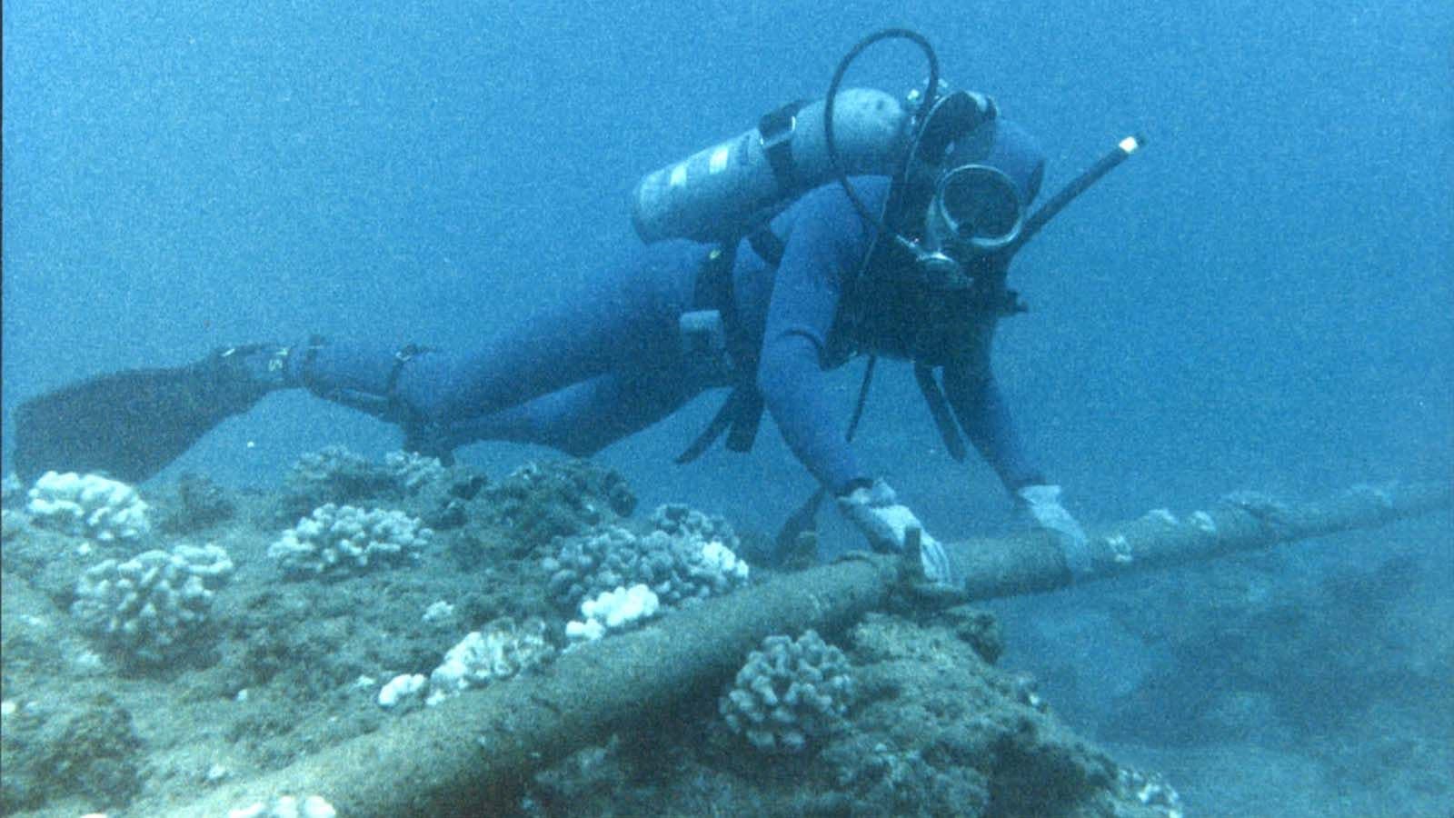 Meta's Petal Subsea Cable Targets Petabit Capacity Across Atlantic by 2029