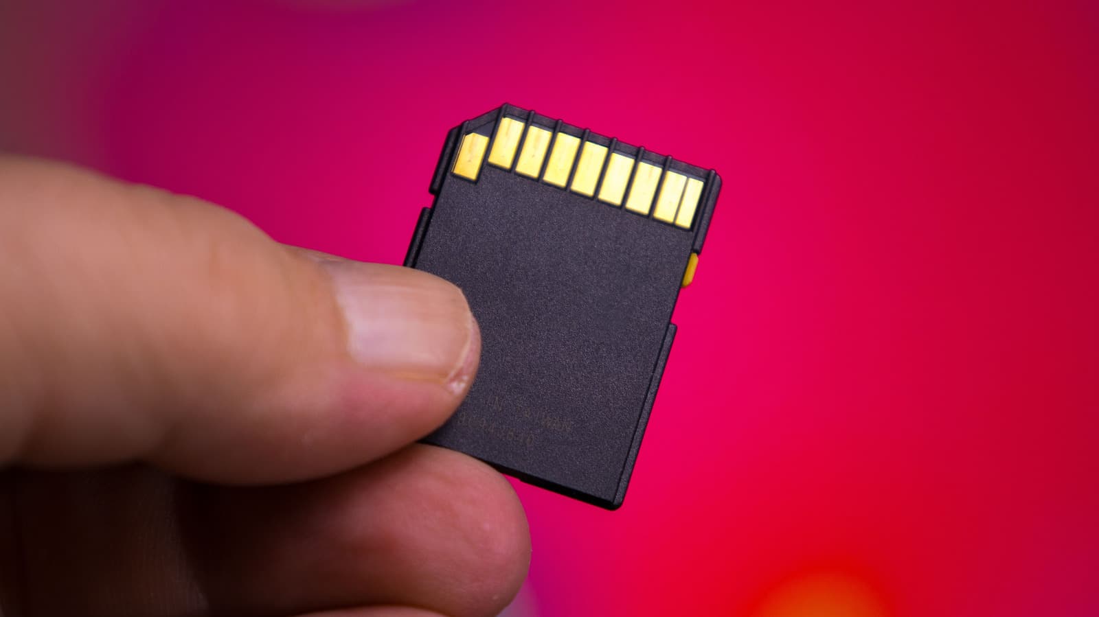 Photographers Rely on These SD Card Brands for Critical Shots