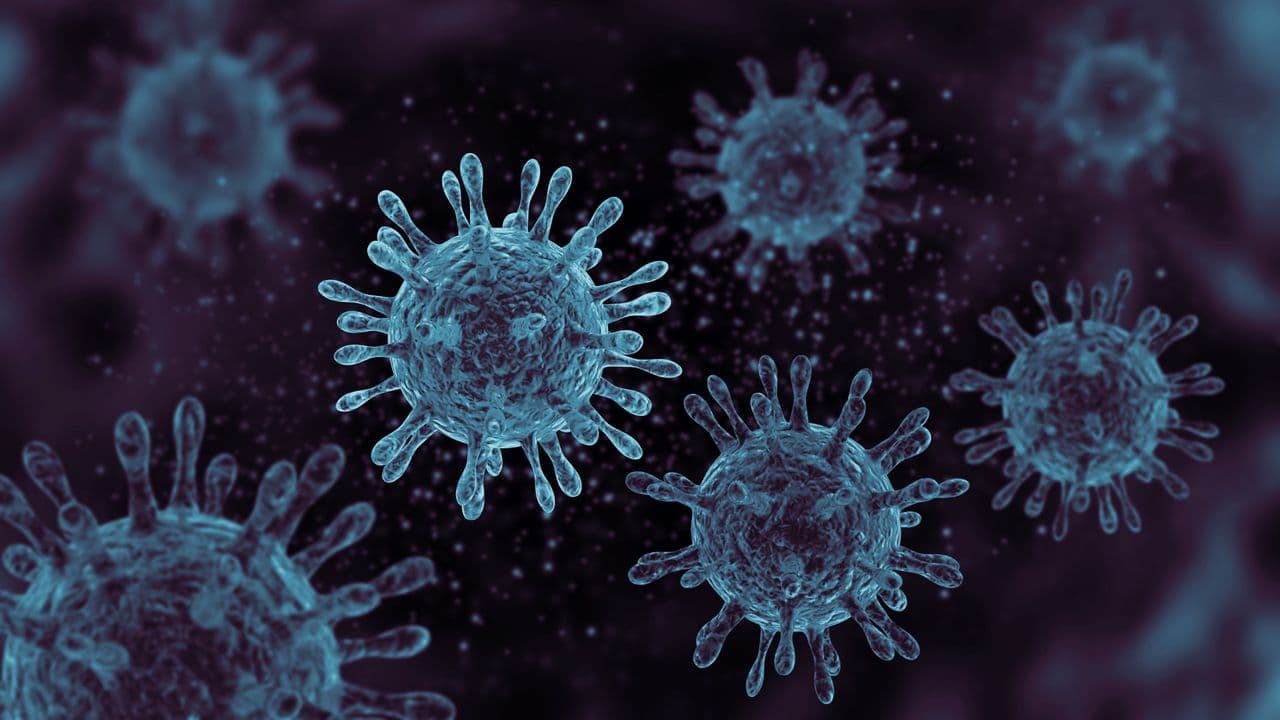 Genomic AI Creates Viable Viruses Never Seen in Nature