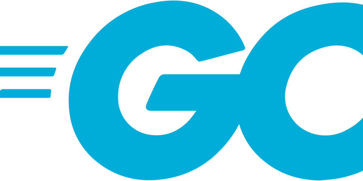 Why Go Emerges as a Top Choice for AI-Assisted Software Development