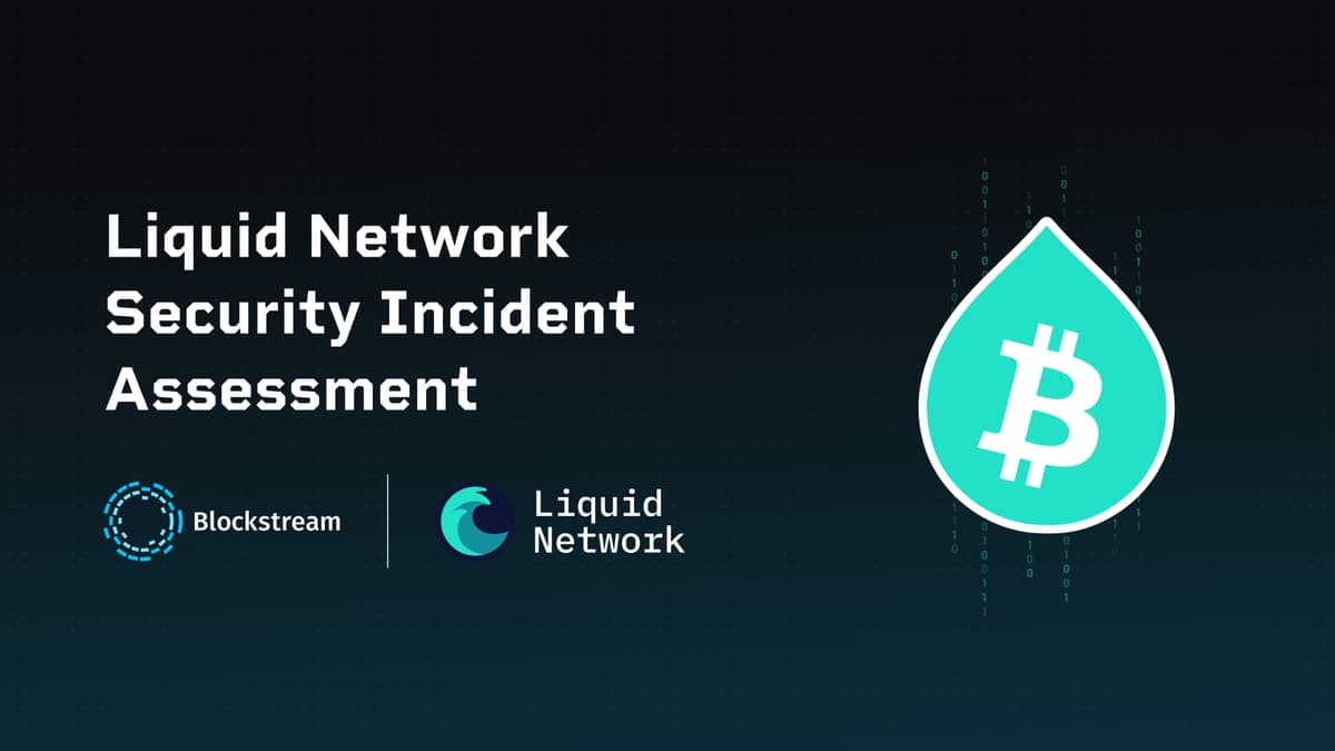 Liquid Network Security Assessment Reveals Critical Vulnerabilities