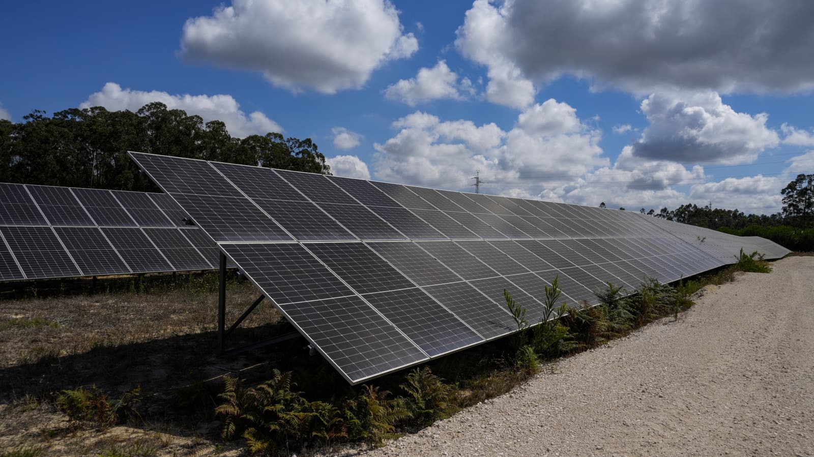 Solar panels on a residential rooftop under bright sunlight, illustrating modern photovoltaic reliability