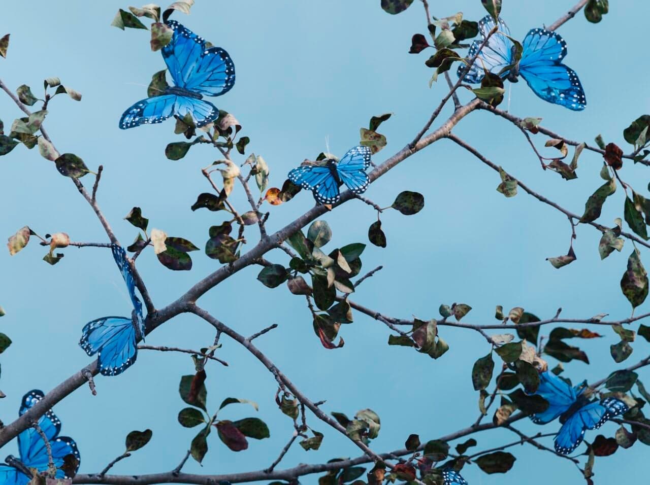 Bluesky Builds Its Own Reddit With New Communities Feature