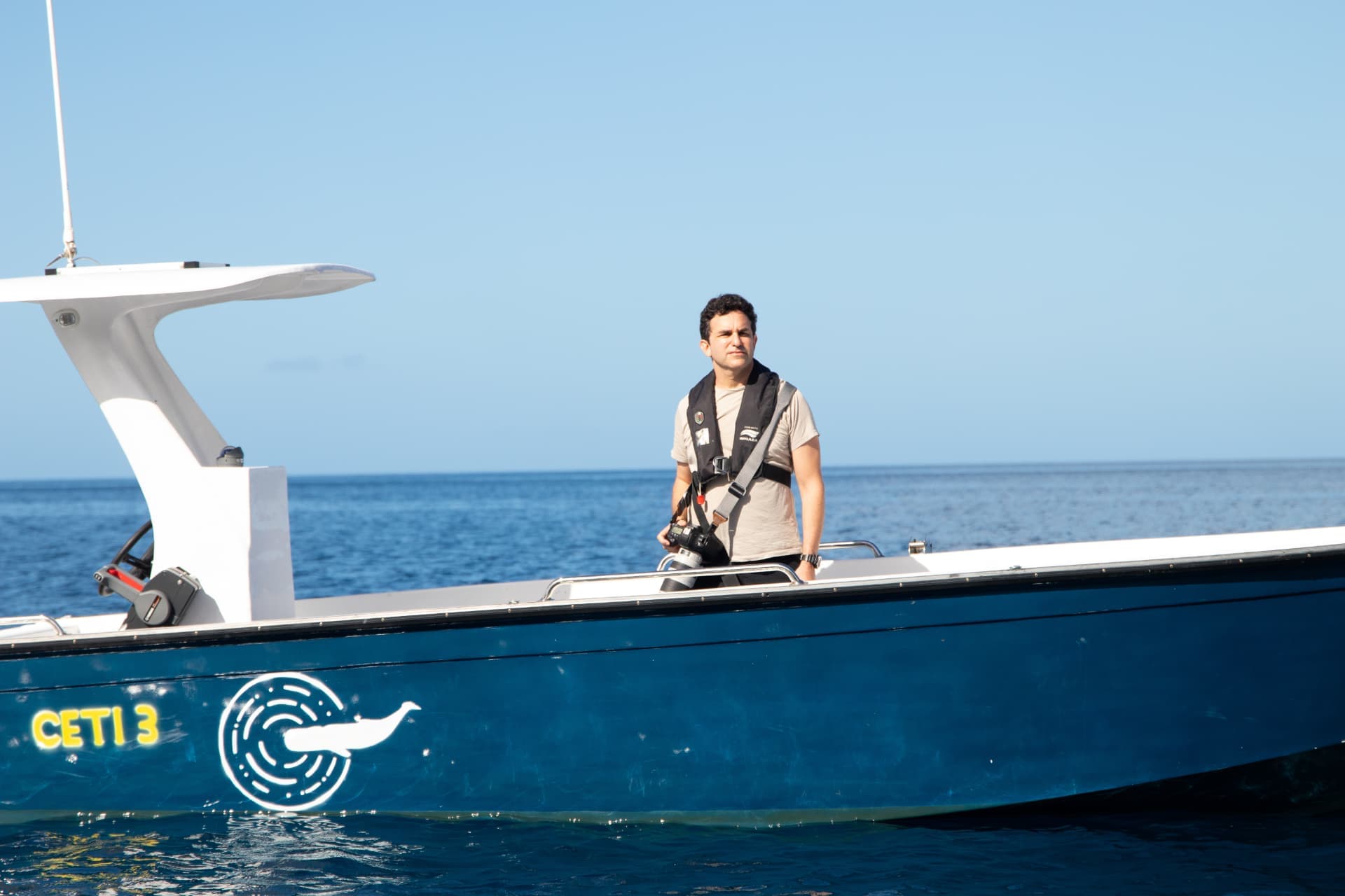 AI Decodes Whale Songs To Unlock Animal Communication