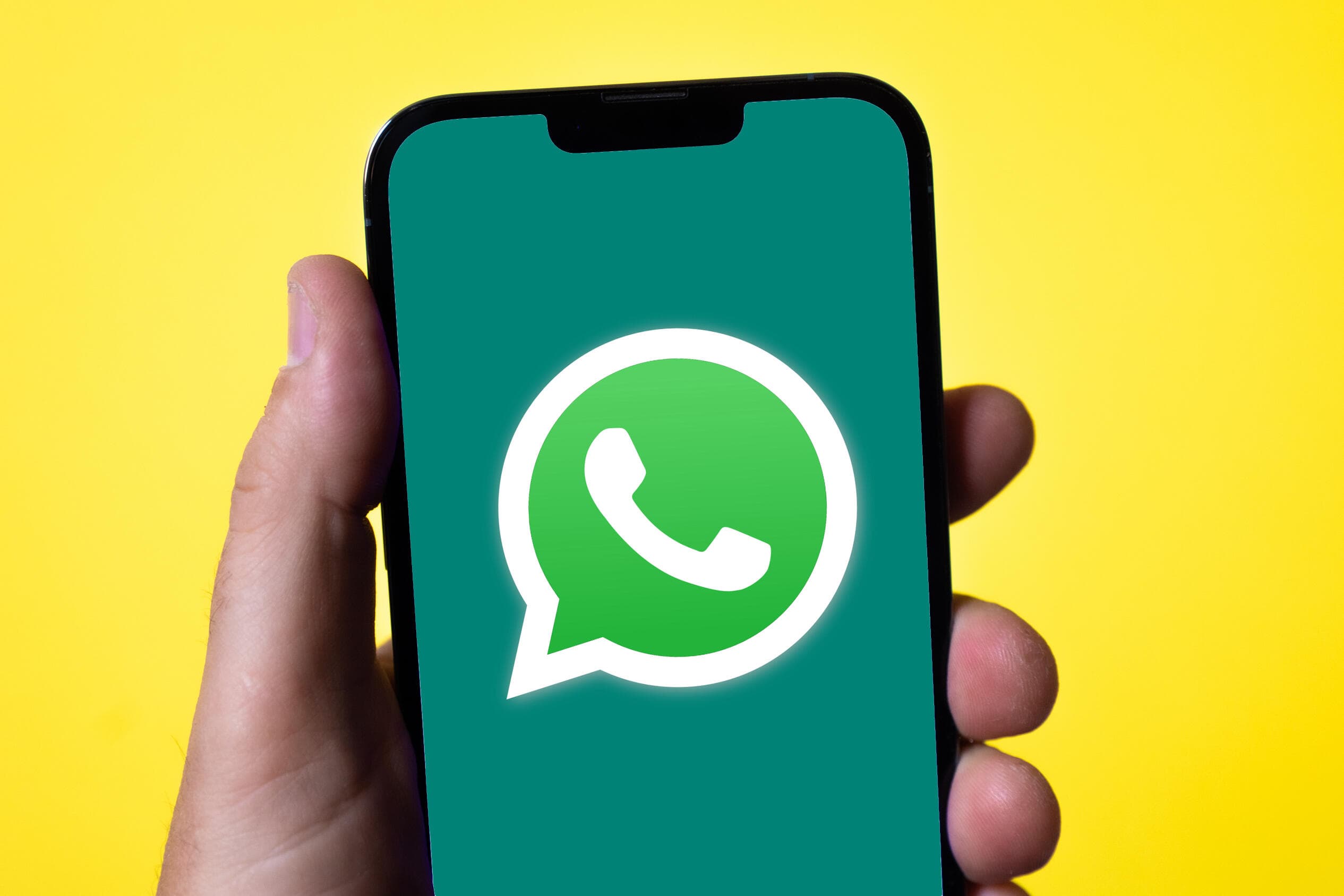 WhatsApp interface showing a scam alert notification banner