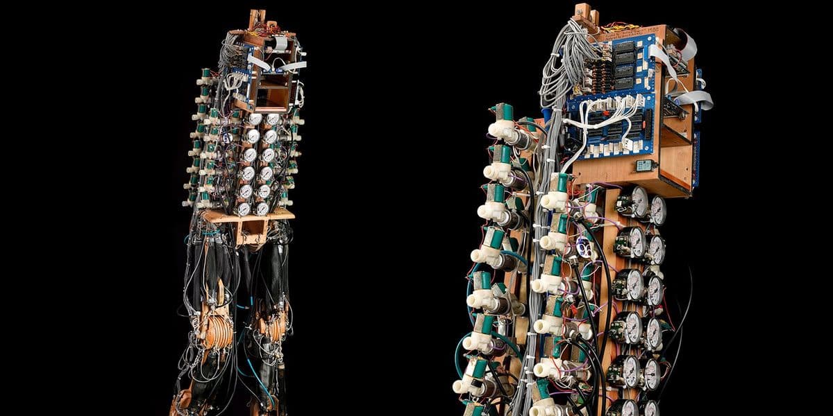 Why a DIY Robot Using Air Muscles Could Reshape Soft Robotics