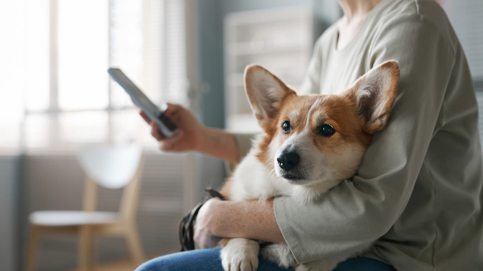 Samsung Introduces Pet Health Monitoring on Galaxy Phones